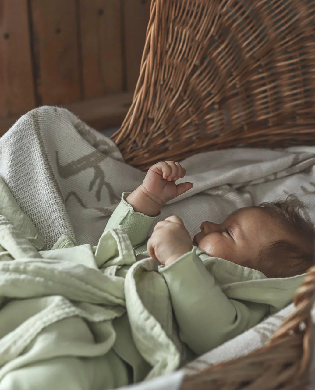 NORTH BABY - ORGANIC MUSLIN BLANKET XXL GREEN ALOE