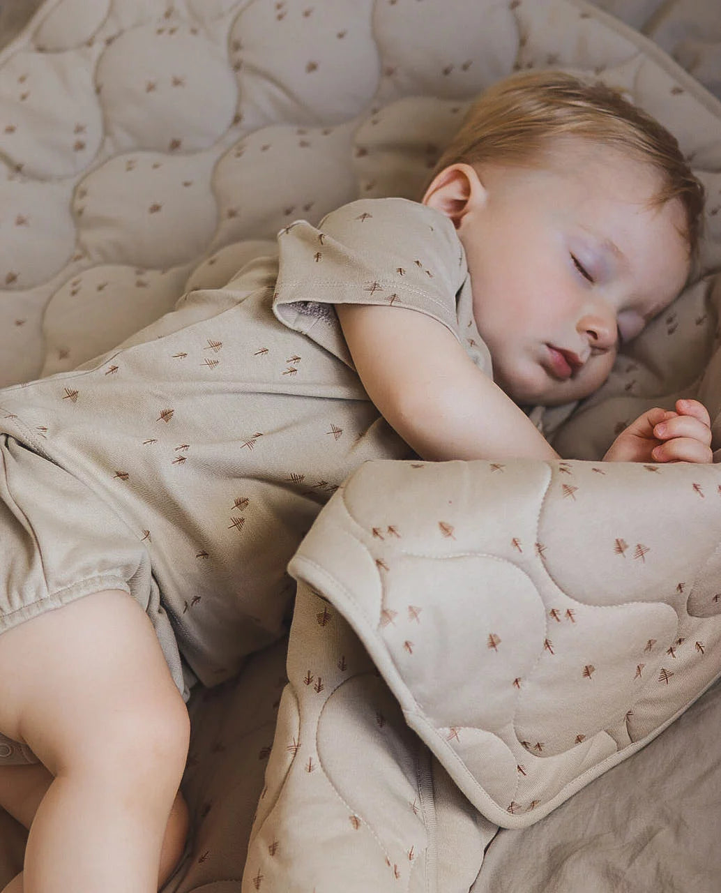 NORTH BABY - ORGANIC SHORT T-SHIRT - ROCK FOREST.