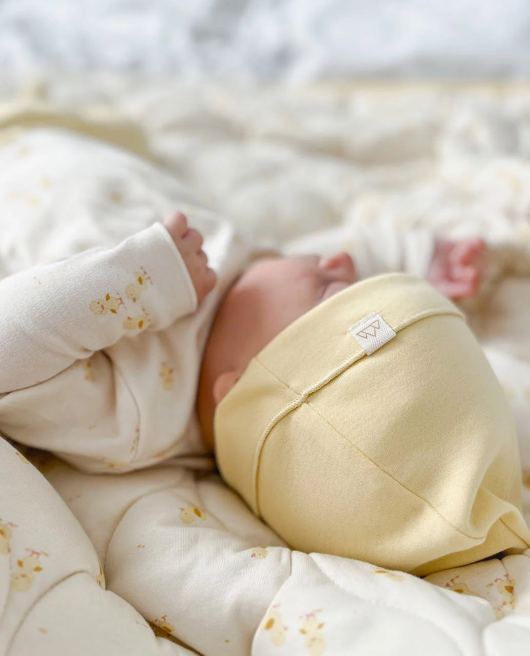 NORTH BABY - ORGANIC HAT BANANA Nb