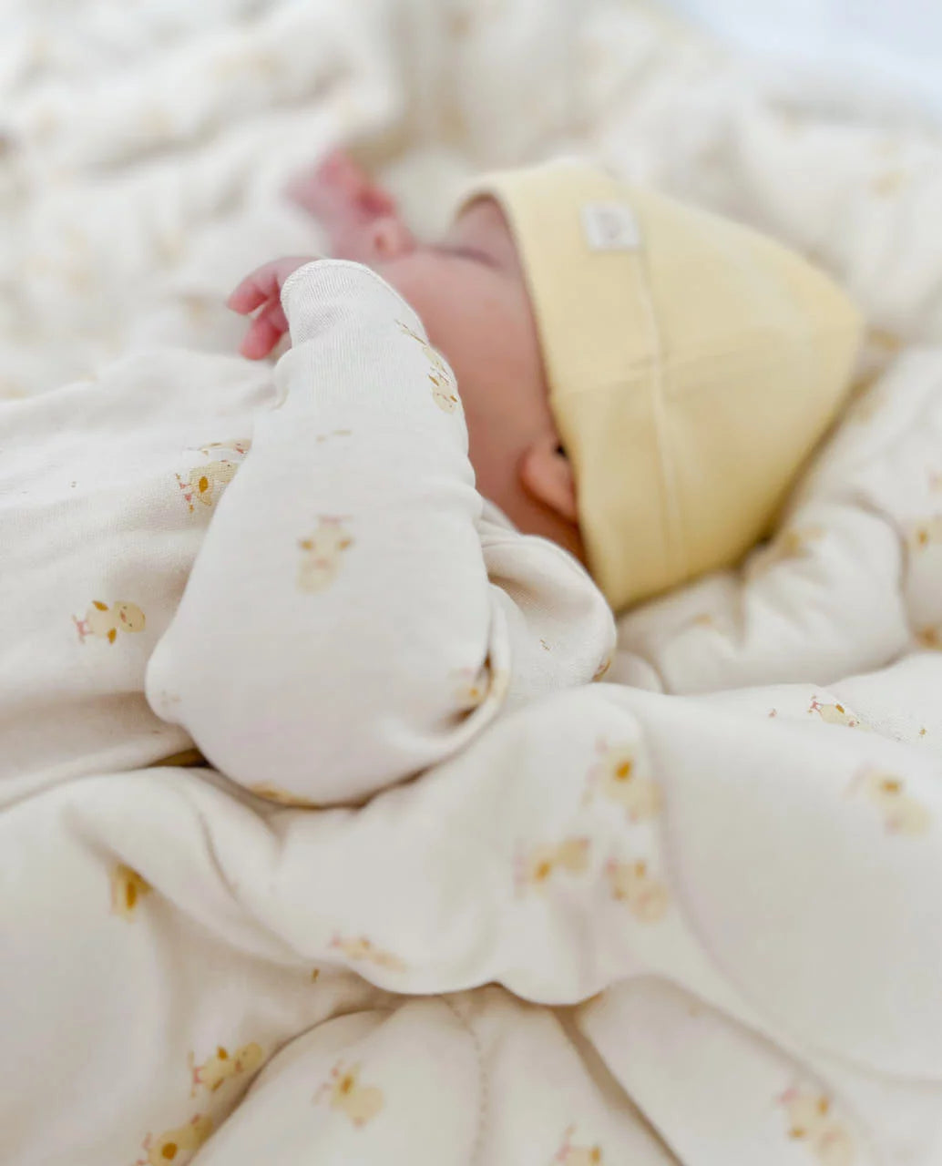 NORTH BABY - ORGANIC HAT BANANA Nb
