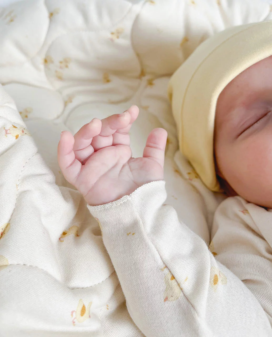 NORTH BABY - ORGANIC HAT BANANA Nb
