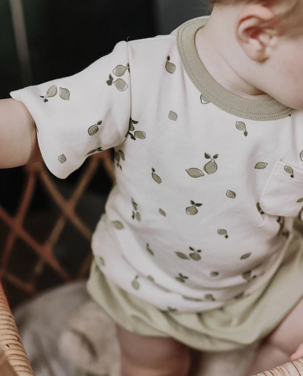 NORTH BABY - ORGANIC SHORT T-SHIRT LIMAS