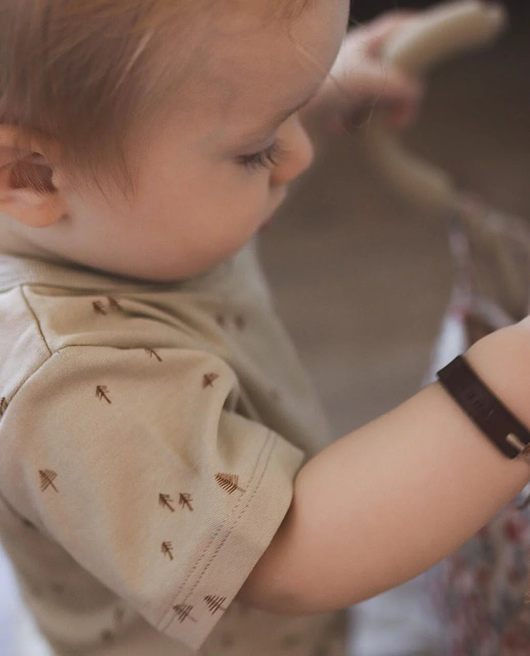NORTH BABY - ORGANIC SHORT T-SHIRT -  ROCK FOREST.