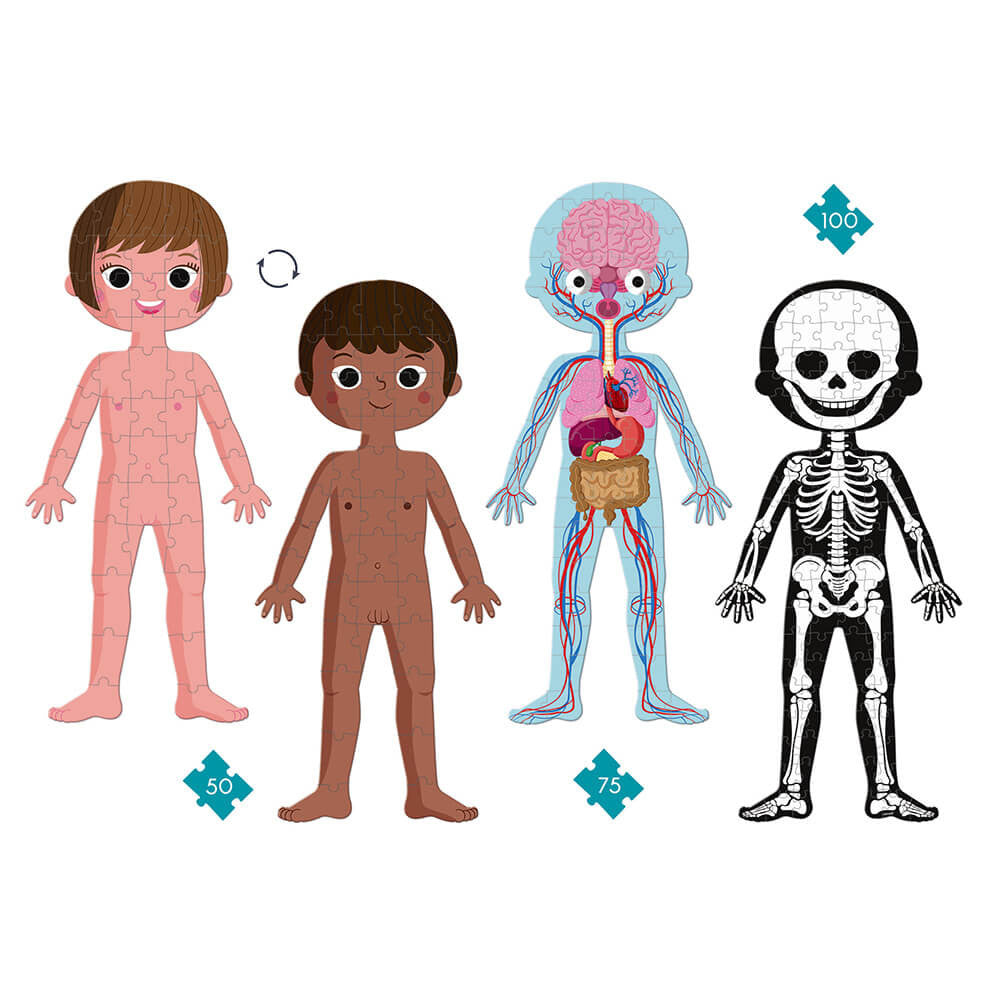 JANOD- Puzzle educativo el cuerpo humano