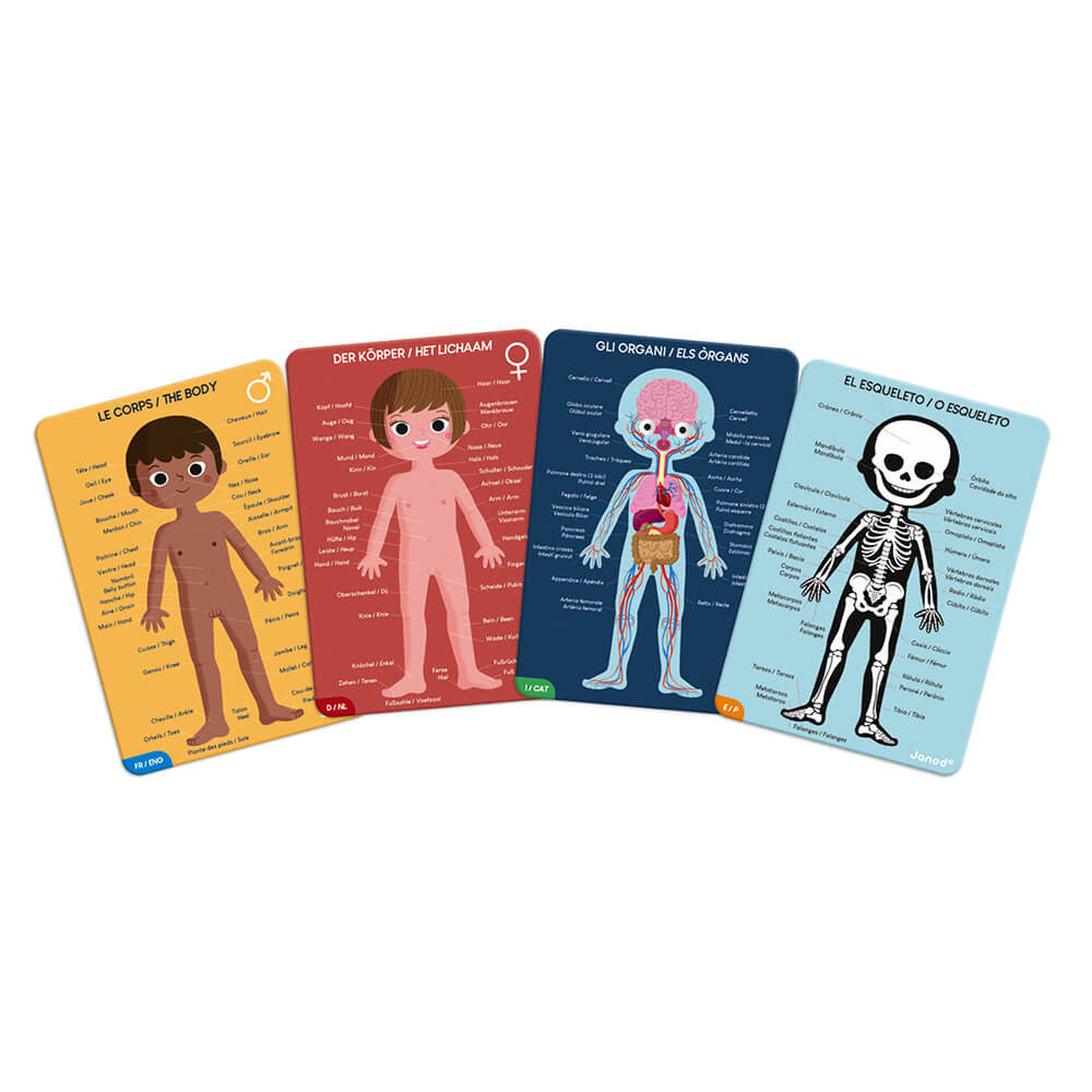 JANOD- Puzzle educativo el cuerpo humano