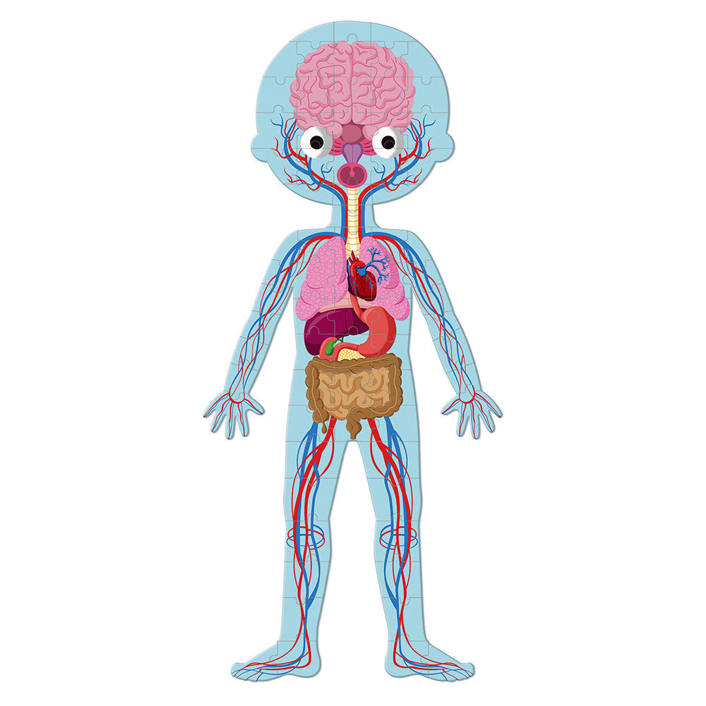 JANOD- Puzzle educativo el cuerpo humano